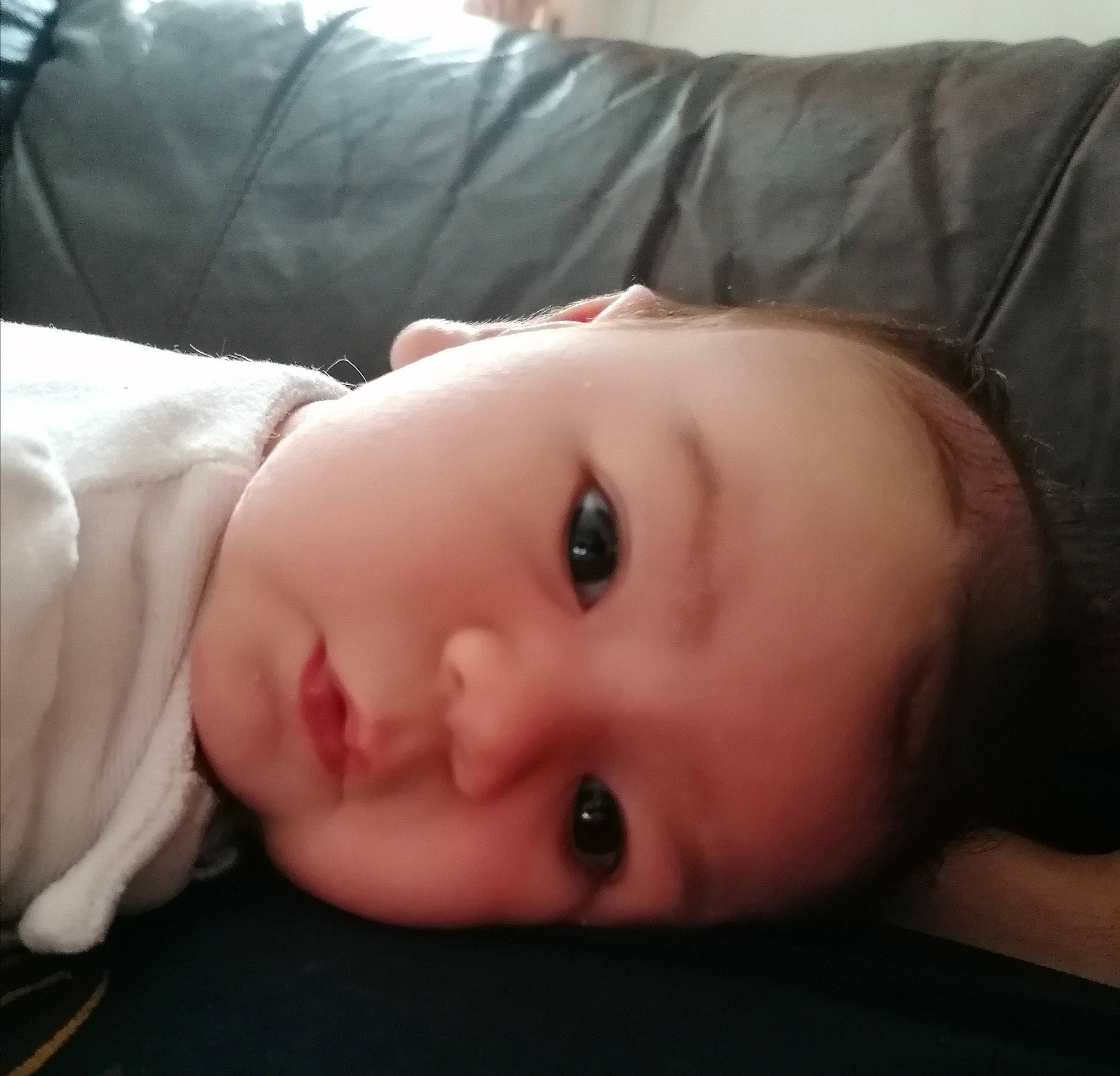 Valentina participe au concours pour gagner de l'argent avec cette photo : baby, baby_toddler_clothing, cheek, close_up, comfort, eyelash, flash_photography, flesh, fur, grass, human_body, jaw, lip, no_expression, nose, person, portrait_photography, skin, sleeve, toddler