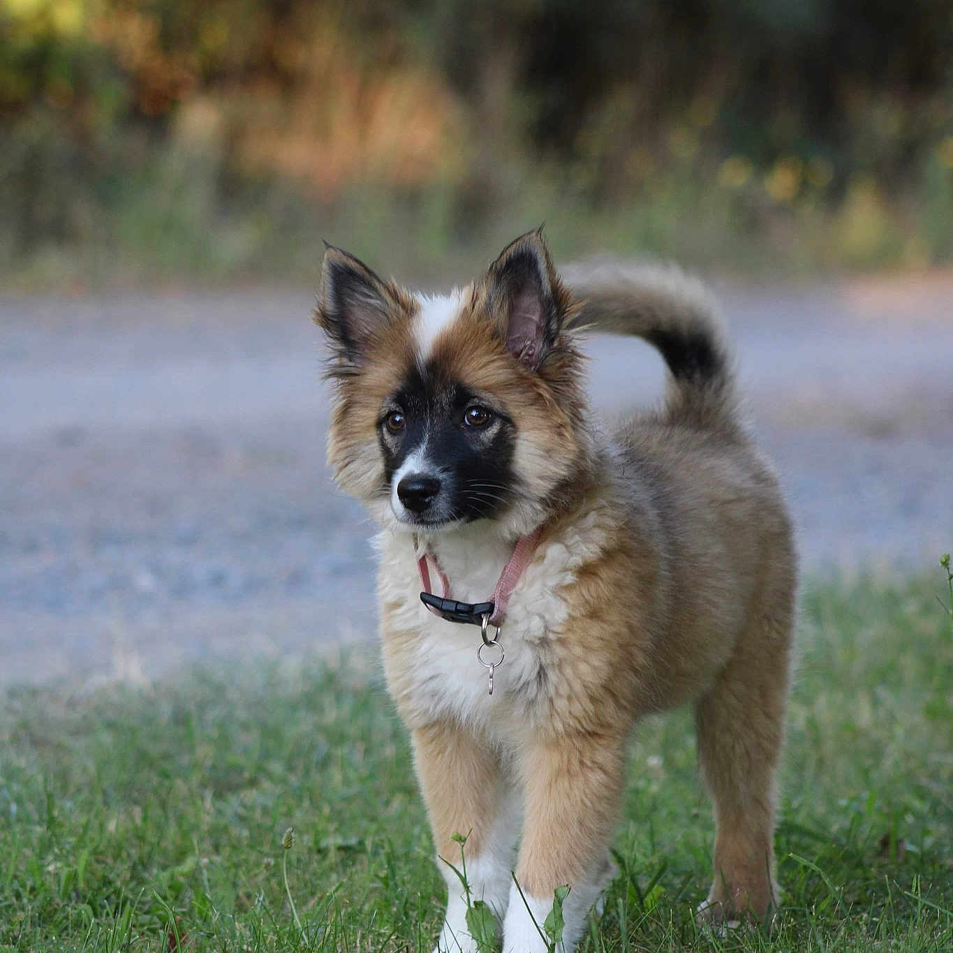 Ráo