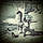 Euphrates H.