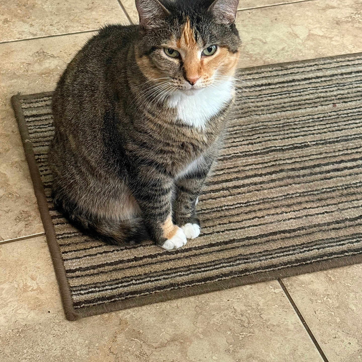 Mittens