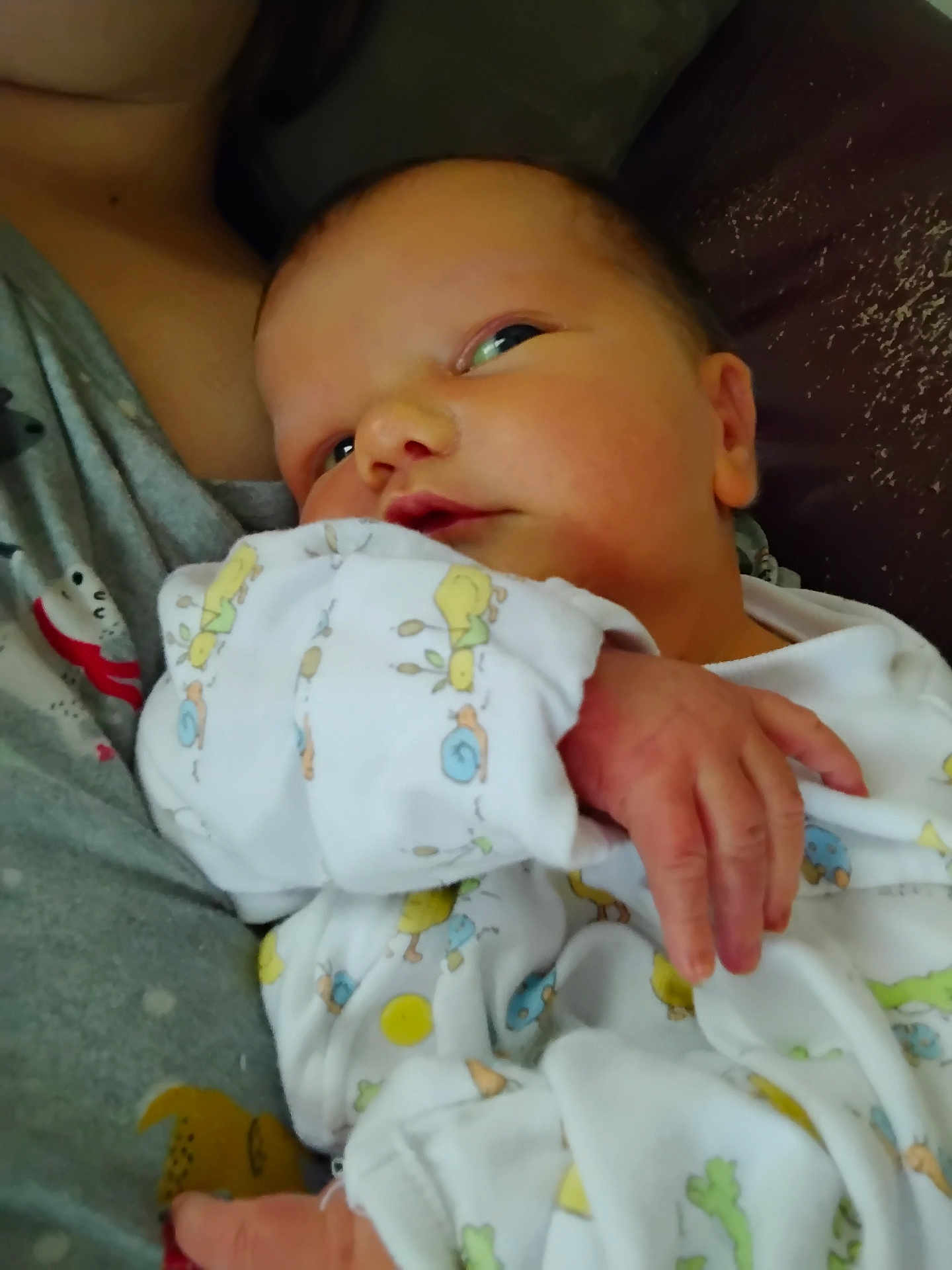 Wyatt is registered to the contest to win money with this photo: newborn, baby, infant, onesie, animal_print, hand, face, gaze, closeup, cuddling, adult, shirt, gray_shirt, holding, cute, sleepwear, soft, indoor, skin, portrait