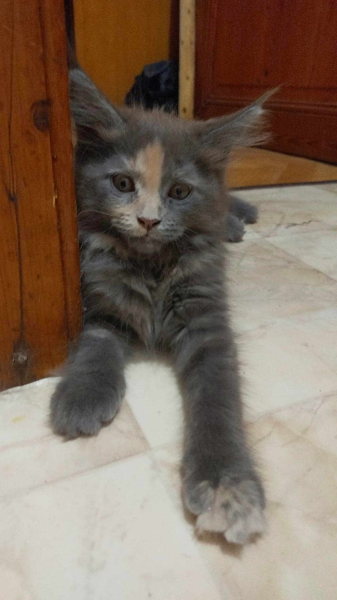 Aby