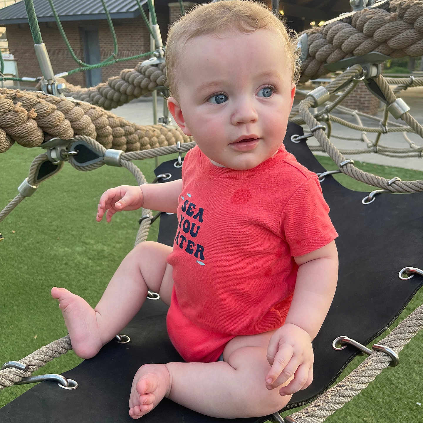 Kohen joined the competition — help win amazing prizes! baby, blue_eyes, casual_clothing, child, curly_hair, cute, daylight, expression, green_turf, infant, metal_rings, outdoor, person, playground, playtime, red_onesie, rope_swing, ropes, sitting, toddler