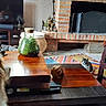 Asha participe au concours pour gagner de l'argent avec cette photo : cat, cats, pet, fluffy, long_hair, indoor, living_room, fireplace, coffee_table, wooden_furniture, television, rug, colorful, home_decor, terrarium, plant, chair, cozy, animal, photography