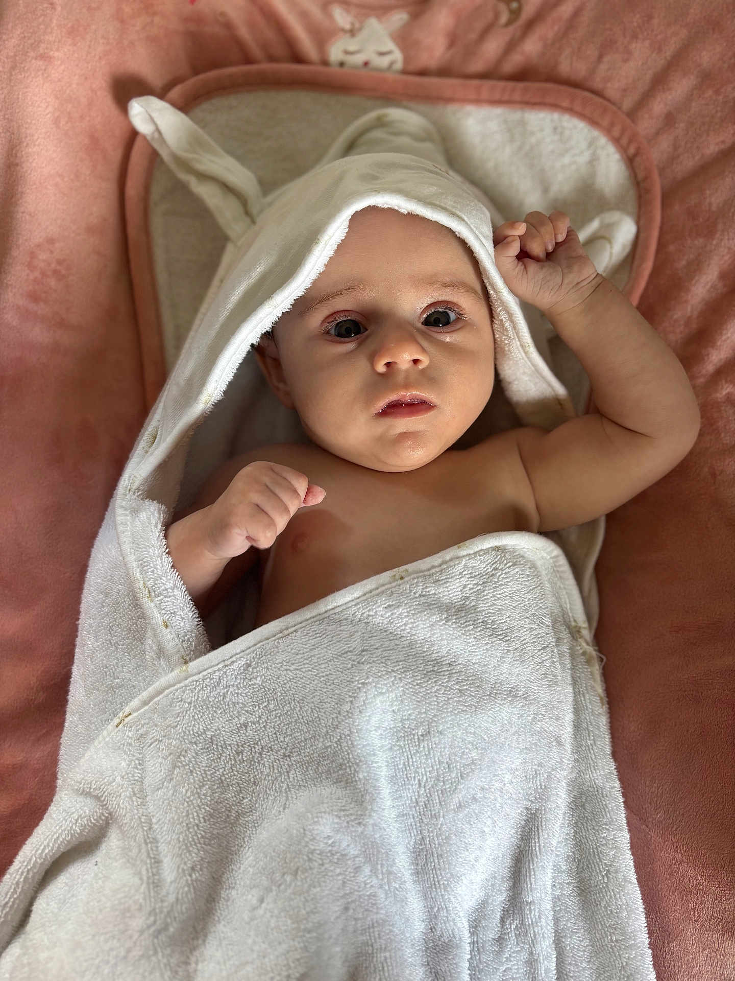 Lou a rejoint le concours — aidez-le/la à gagner de superbes lots ! baby, towel, hood, bunny_ears, blanket, pink, infant, skin, face, arms, raised_hands, curious, lying_down, soft_texture, cute, child, indoors, portrait, expression, wrapped