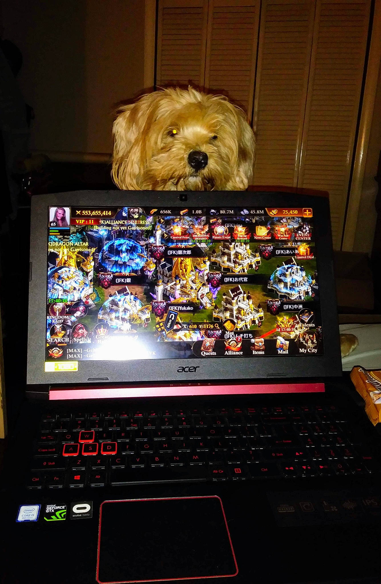 Pooh joined the competition — help win amazing prizes! audio_equipment, carnivore, companion_dog, computer, computer_hardware, display_device, dog, dog_breed, electronic_device, firefighter, flat_panel_display, gadget, input_device, laptop, netbook, output_device, peripheral, personal_computer, space_bar, touchpad