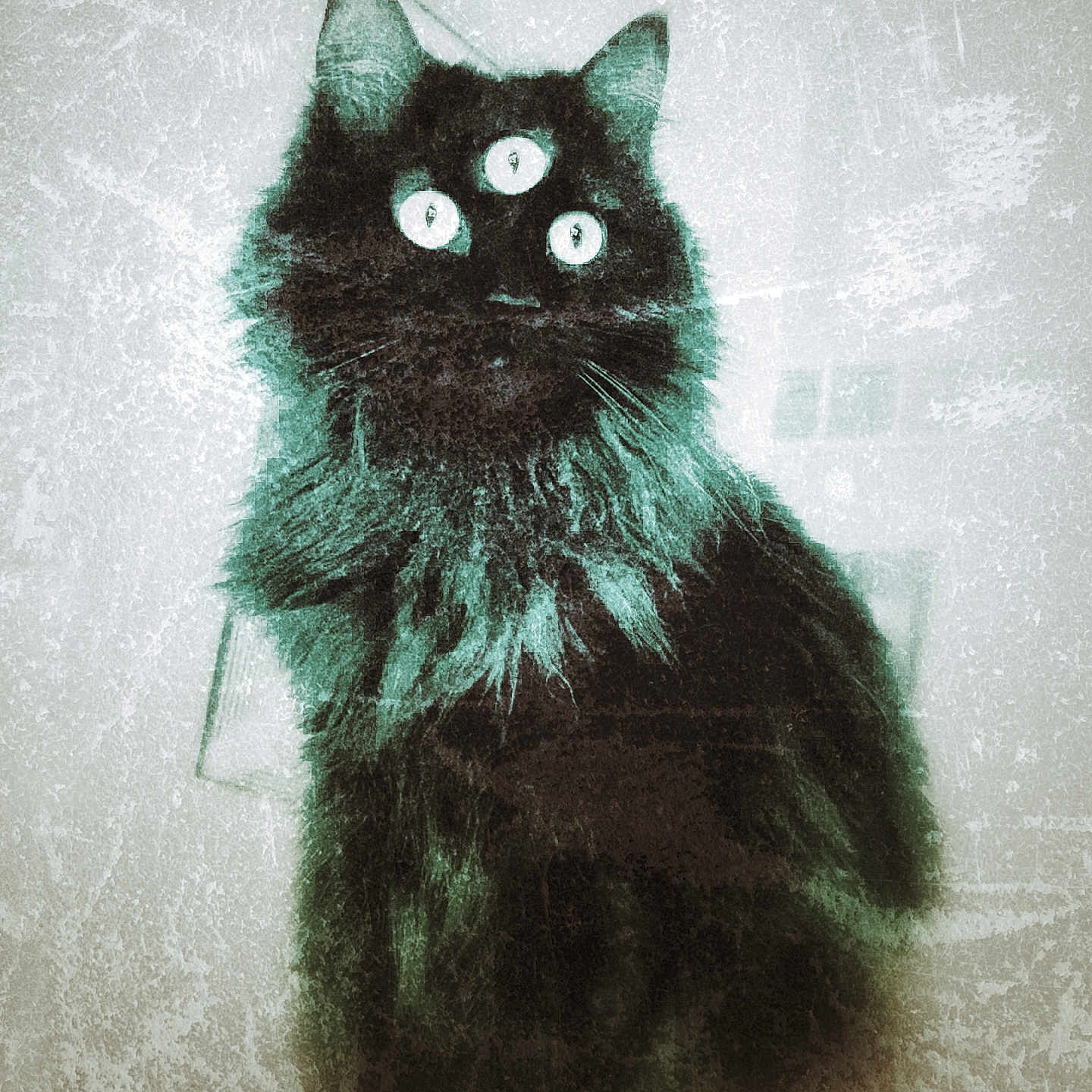 Tarot is registered to the contest to win money with this photo: animal, black_cat, cat, creature, dark, ears, eyes, fantasy, feline, fluffy, fur, grainy_texture, mysterious, odd, portrait, spooky, surreal, three_eyes, vintage_effect, whiskers