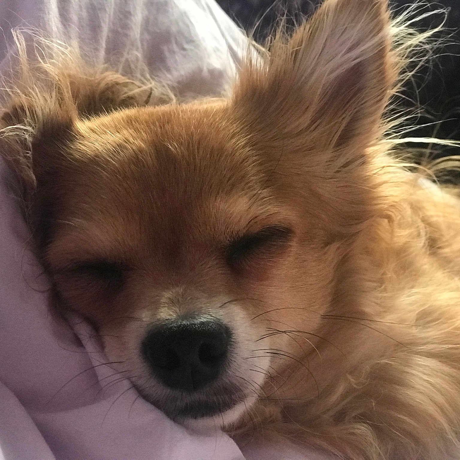 Winny