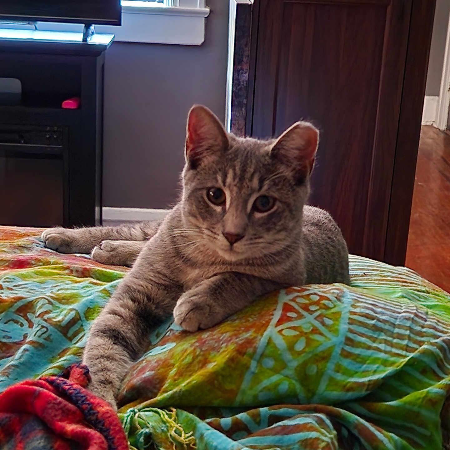 Bella