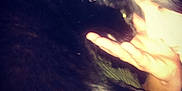 Puddybear is registered to the contest to win money with this photo: arm, black, black_hair, cat, cat_like_mammal, close_up, ear, eye, girl, light, mammal, mouth, nose, organ, skin, small_to_medium_sized_cats, snout, sunlight, vertebrate, whiskers