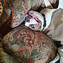 Deam participe au concours pour gagner de l'argent avec cette photo : dog, couch, upside_down, floral_pattern, pet, collar, indoor, relaxed, smiling, fur, comfort, blanket, nose, teeth, head, animal, resting, home, wood, texture