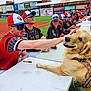 dog, golden_retriever, service_dog, dog_vest, baseball_player, baseball_field, sports_event, signing_table, autograph, hat, sunglasses, smiling, outdoor, grass, stadium, team, people, crowd, happy, event