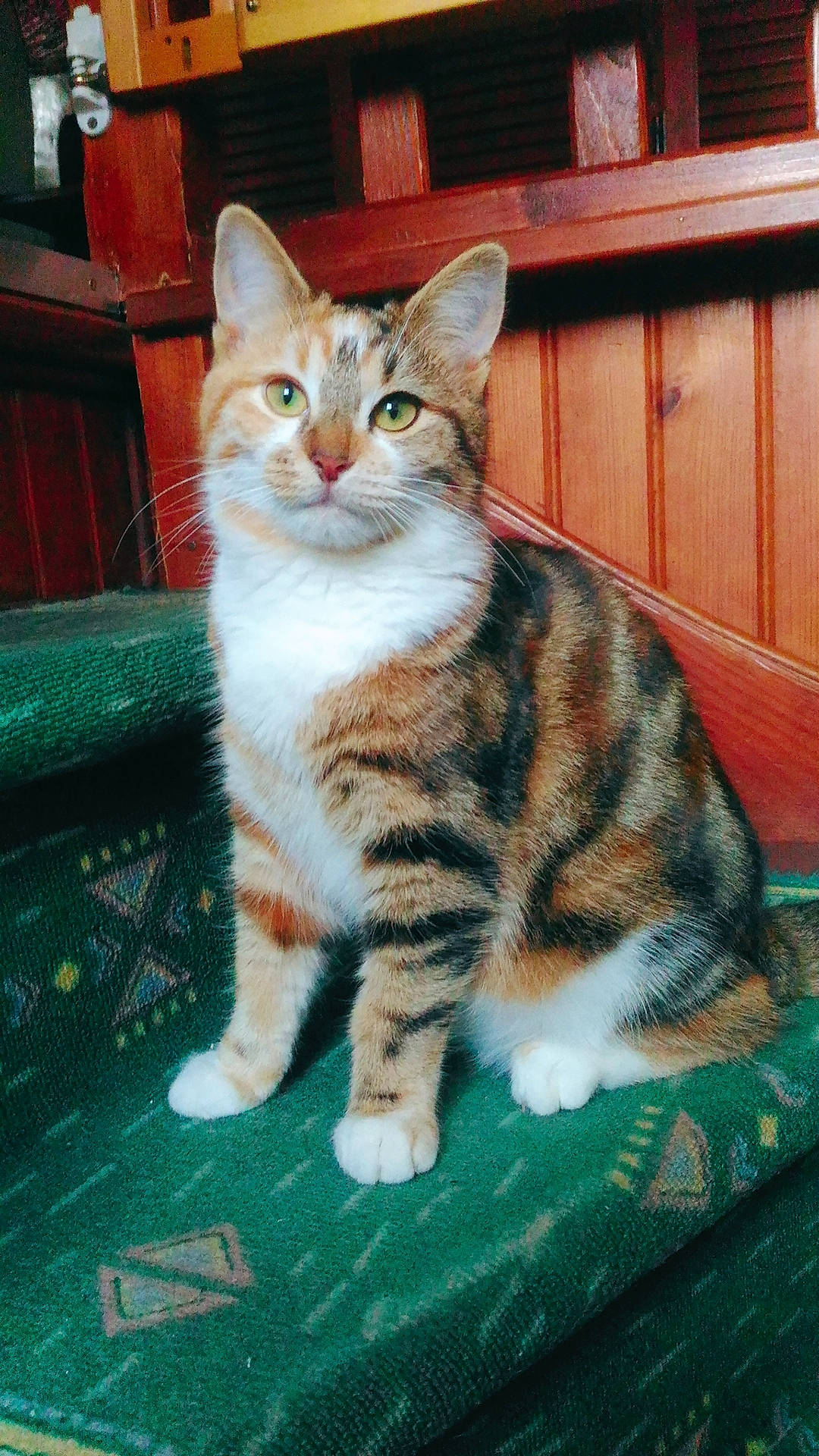 Minette