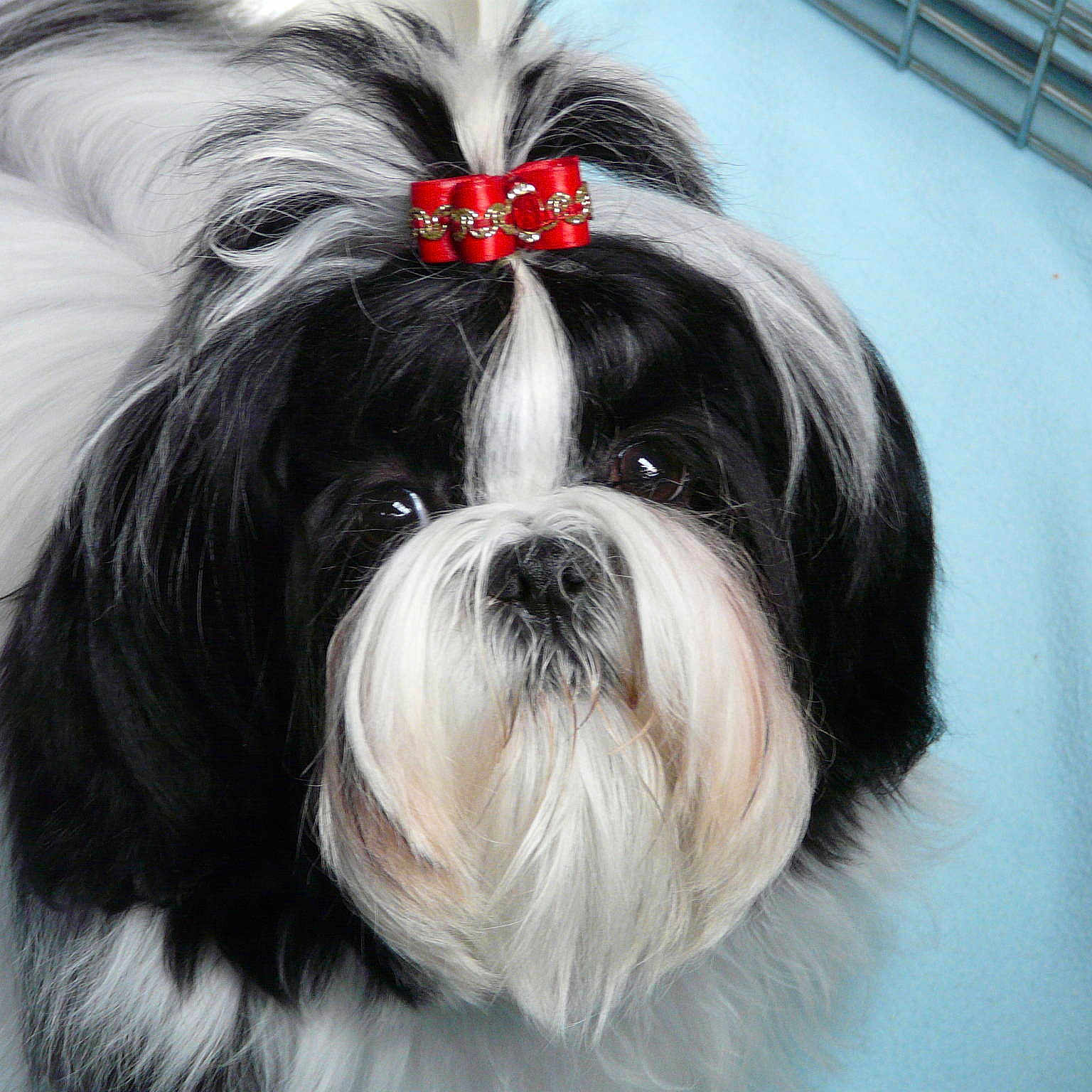 Sweety