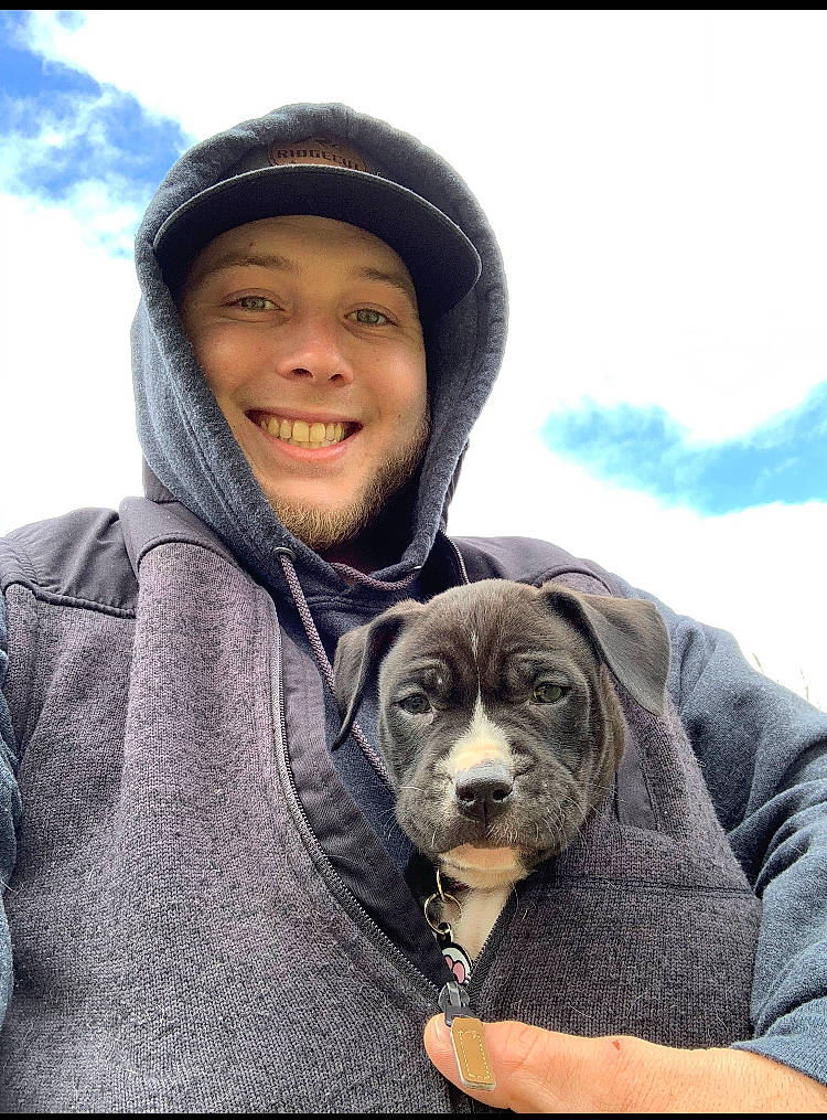 Coon joined the competition — help win amazing prizes! cap, carnivore, cloud, companion_dog, dog, dog_breed, freezing, fun, happy, hat, headgear, ice_cap, jacket, recreation, sky, smile, snow, travel, winter, working_animal