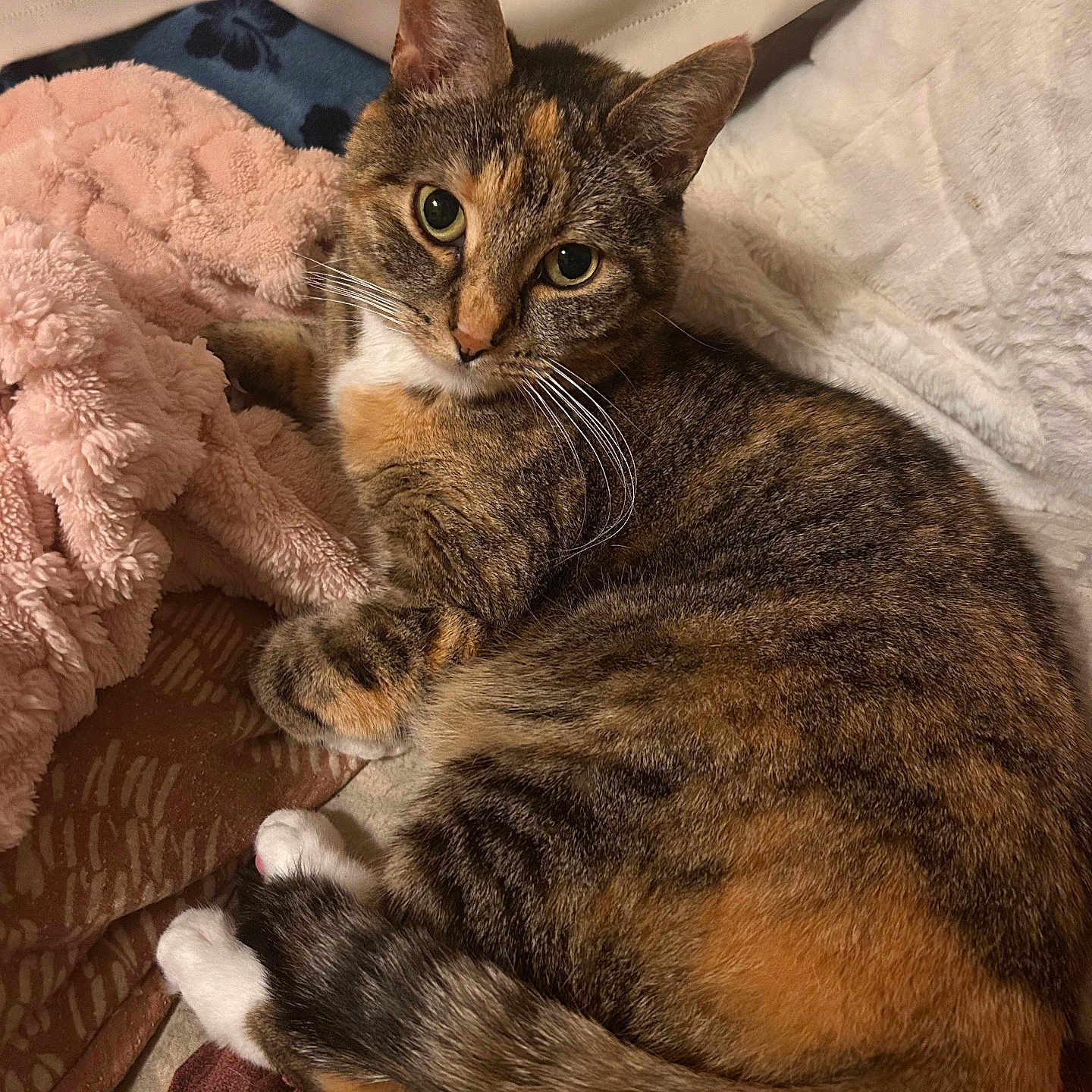 Peanut