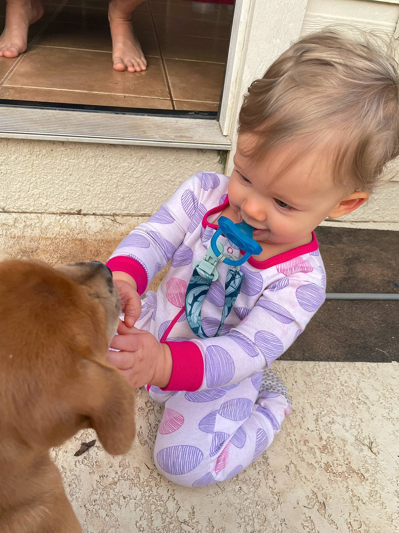 Loki is registered to the contest to win money with this photo: baby_toddler_clothing, carnivore, child, companion_dog, dog, dog_breed, fawn, finger, flooring, fun, hair, head, human_leg, leg, liver, people, shorts, snout, toddler, working_animal