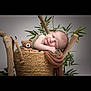 Aaron a rejoint le concours — aidez-le/la à gagner de superbes lots ! newborn, baby, sleeping, basket, woven, teddy_bear, crocheted, green_leaves, wooden_sticks, cozy, peaceful, portrait, infant, soft, blanket, natural, decor, cute, resting, studio