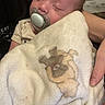 Bentley joined the competition — help win amazing prizes! baby, sleeping, pacifier, blanket, teddy_bear, hand, infant, cozy, closeup, soft_texture, child, person, nap, rest, cute, comfort, indoor, warm, gentle, care