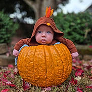 River is registered to the contest to win money with this photo: baby, pumpkin, fall, autumn, leaves, grass, outdoor, child, costume, hood, cute, seasonal, nature, orange, greenery, portrait, baby_face, expression, holiday, festive
