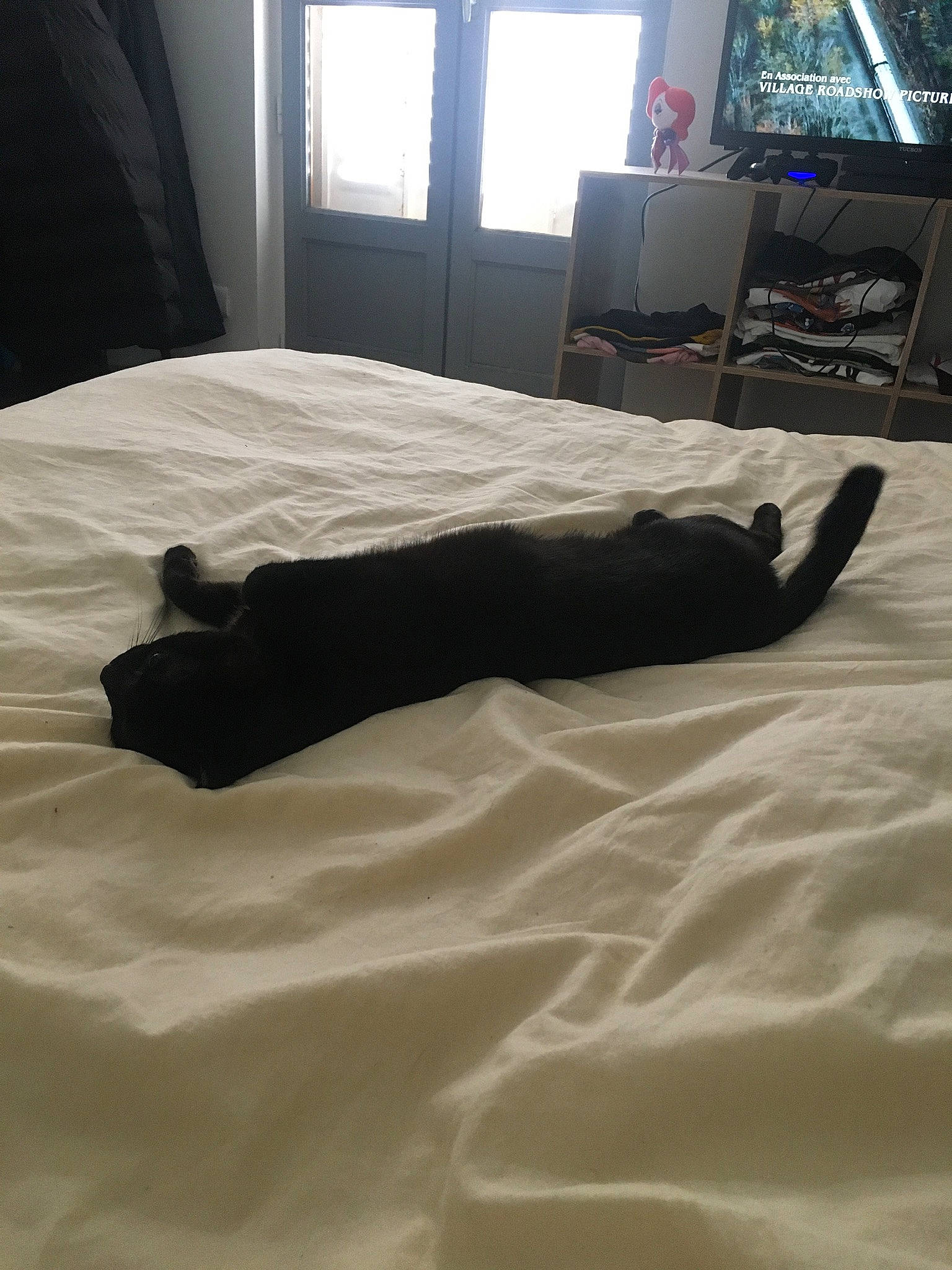 Reese a rejoint le concours — aidez-le/la à gagner de superbes lots ! bed, bed_sheet, bedroom, black, comfort, couch, floor, flooring, furniture, leg, linens, mattress, room