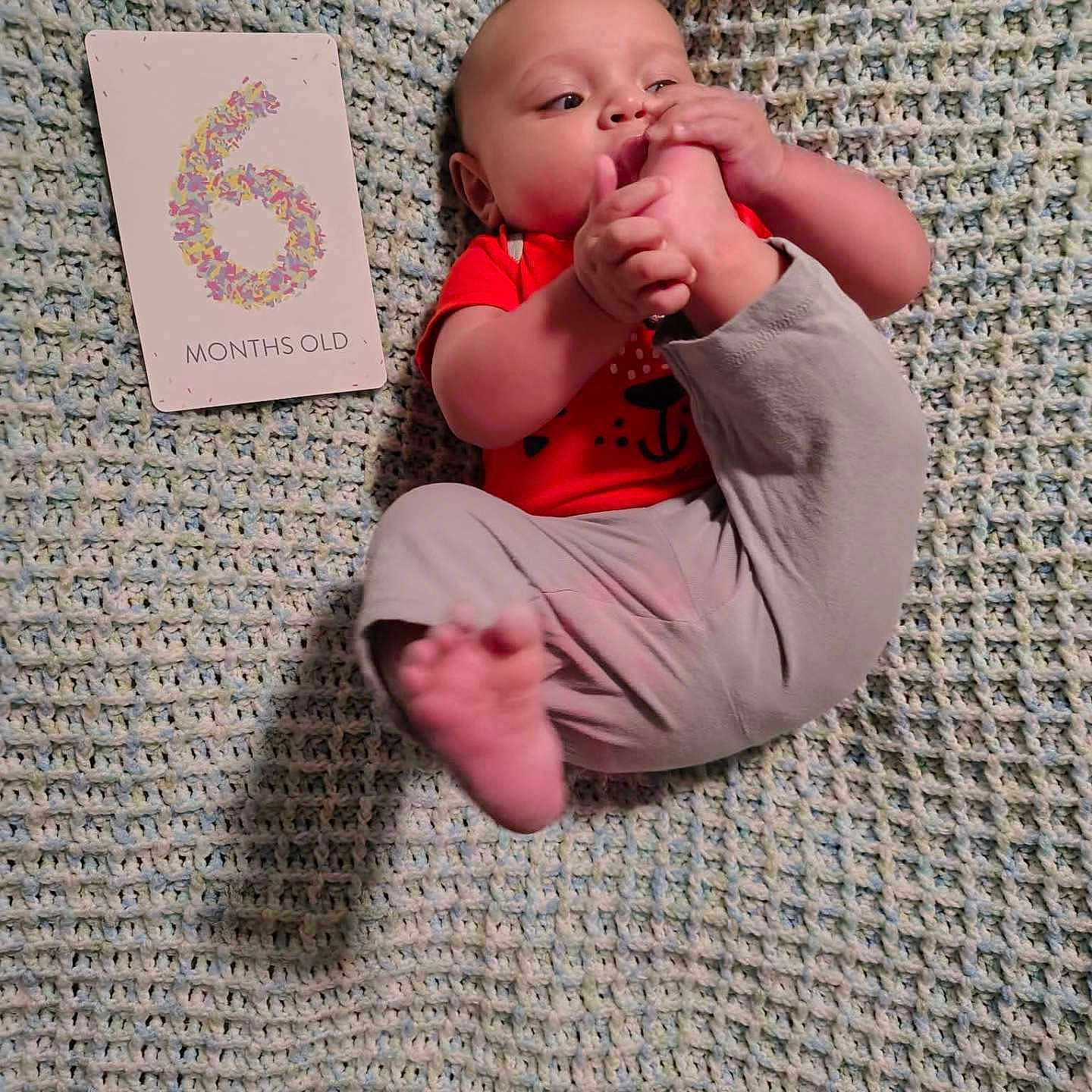 Auryn is registered to the contest to win money with this photo: baby, infant, child, six_months_old, lying_down, smiling, face, hands, feet, red_shirt, gray_pants, knitted_blanket, milestone_card, indoor, portrait, close_up, sitting, playful, family, cozy