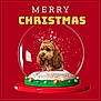 advertisement, animal, birthdaycake, book, cake, canine, cockerspaniel, cream, dessert, dog, envelope, food, greetingcard, icecream, mail, pet, poster, publication, puppy, terrier