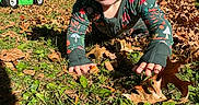 Lilianna is registered to the contest to win money with this photo: baby, child, toddler, crawling, smiling, outdoor, autumn, leaves, garden, grass, tree, sunlight, hat, bow, sweater, patterned_clothing, toy_car, backyard, portrait, happy