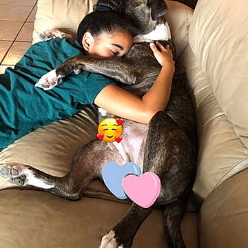 Ares is registered to the contest to win money with this photo: arm, black_hair, canidae, child, companion_dog, couch, human, lap, leg, long_hair, non_sporting_group, play, sitting, thigh, toddler