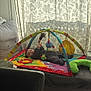 Milagros Sofia participe au concours pour gagner de l'argent avec cette photo : baby, infant, play_mat, toy, hanging_toy, colorful, couch, chair, curtain, window, indoor, child, person, floor, blanket, soft_light, smiling, lying_down, cozy, home