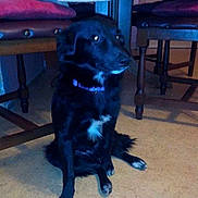 Max a rejoint le concours — aidez-le/la à gagner de superbes lots !