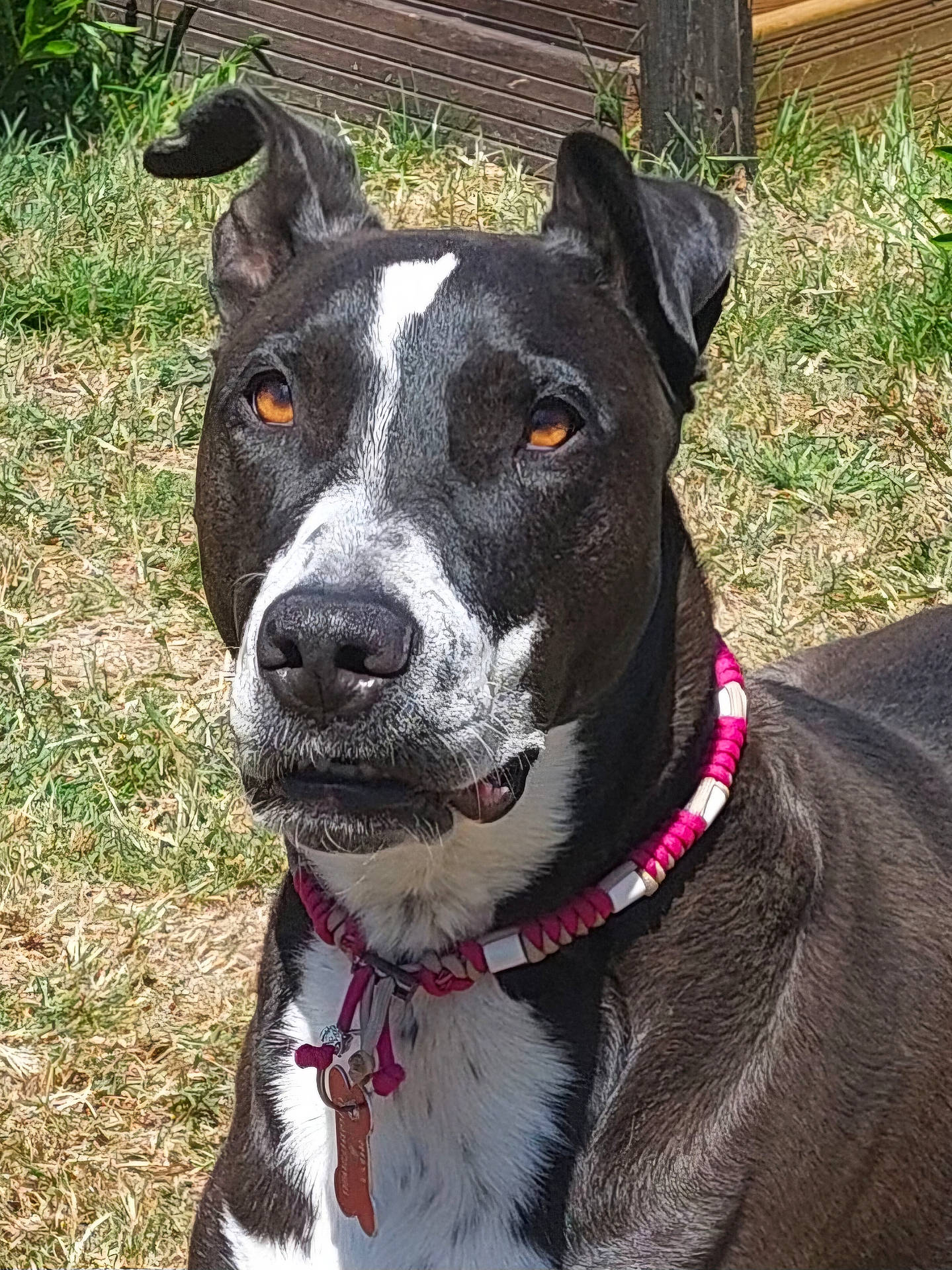 Roxy