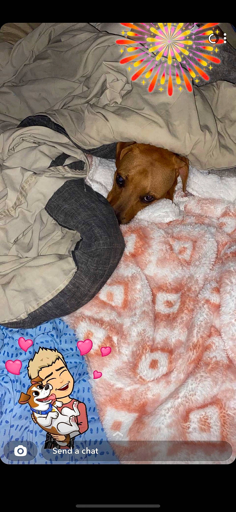 Bubby is registered to the contest to win money with this photo: art, baby_toddler_clothing, bed, bed_sheet, bedding, blanket, comfort, companion_dog, dog, dog_breed, dog_supply, fur, linens, liver, mammal, pattern, pet_supply, sleeve, vertebrate, working_animal