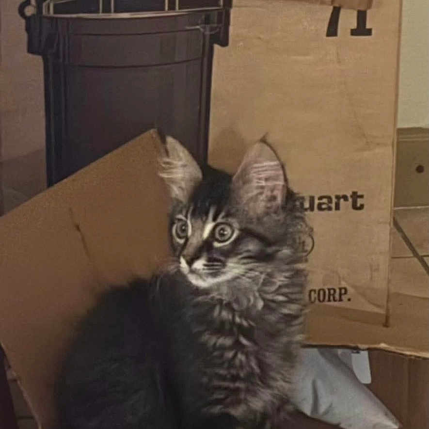 Precious