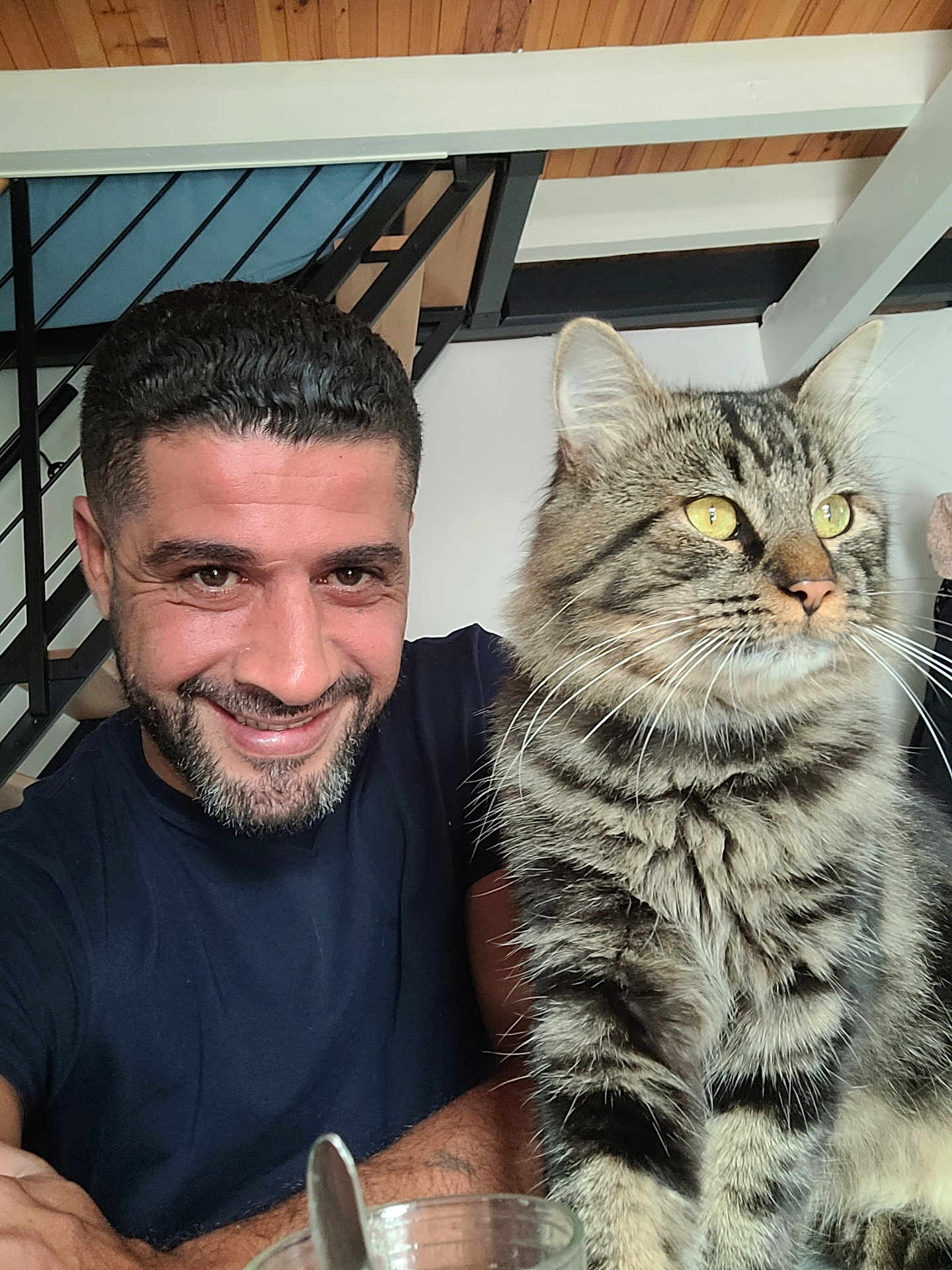 Pitchou a rejoint le concours — aidez-le/la à gagner de superbes lots ! man, smiling, cat, tabby_cat, indoor, furniture, staircase, beard, short_hair, black_tshirt, pet, domestic_animal, whiskers, yellow_eyes, happy, portrait, closeup, table, glass, spoon
