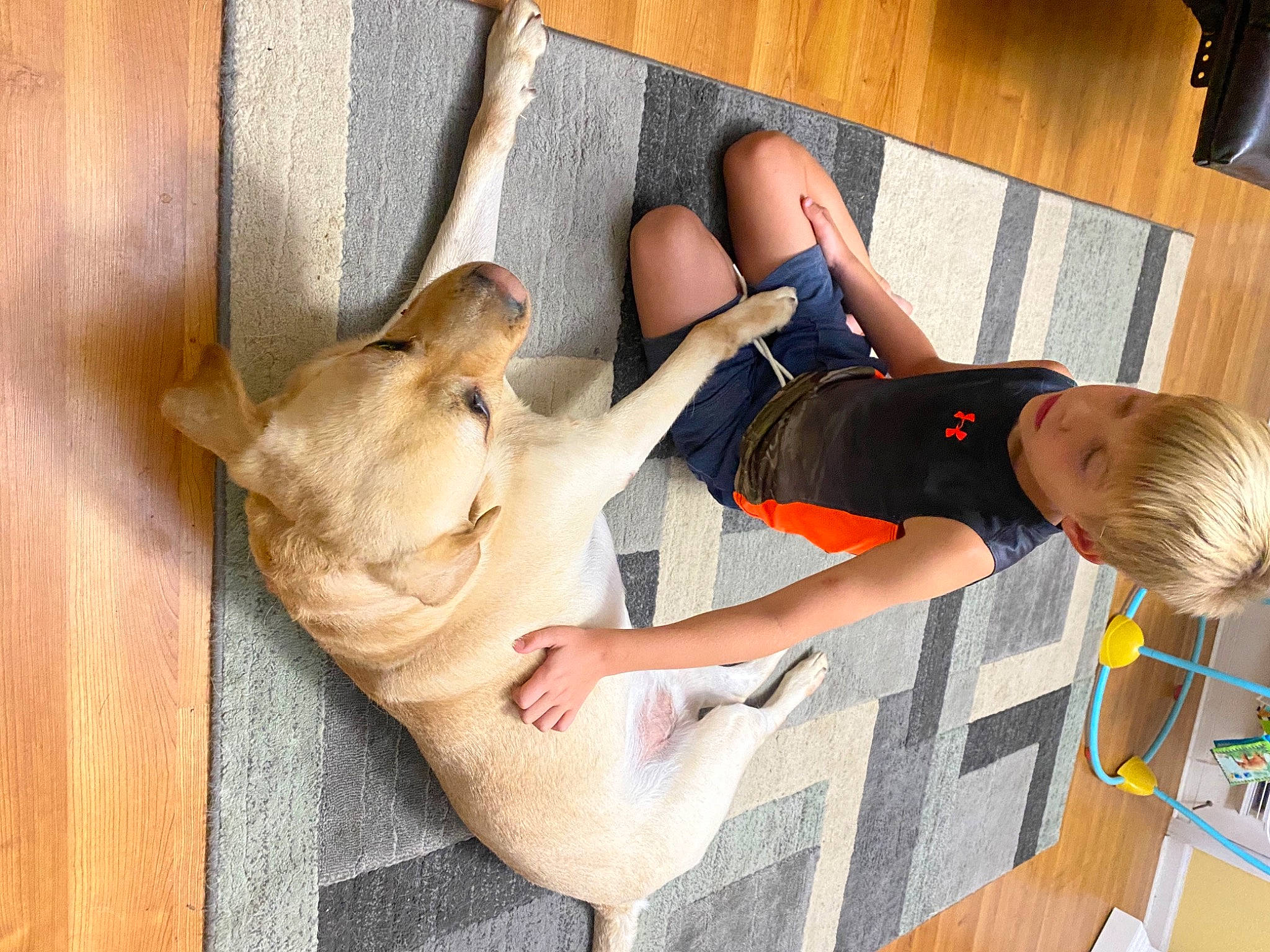 Bullet is registered to the contest to win money with this photo: arm, carnivore, child, comfort, companion_dog, dog, fawn, felidae, finger, floor, flooring, foot, hardwood, human_leg, knee, leisure, mammal, thigh, vertebrate, wood