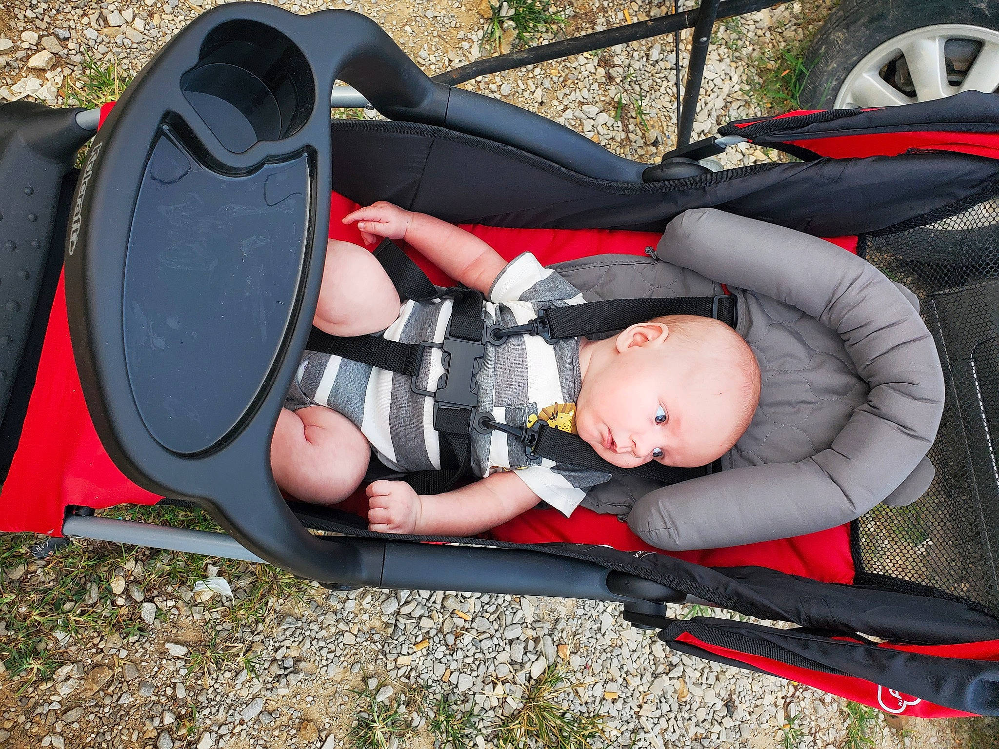 Danny is registered to the contest to win money with this photo: auto_part, automotive_design, automotive_exterior, automotive_tire, baby, baby_carriage, baby_products, baby_toddler_clothing, bag, comfort, fun, grass, luggage_and_bags, motor_vehicle, person, personal_protective_equipment, plant, recreation, tire, toddler