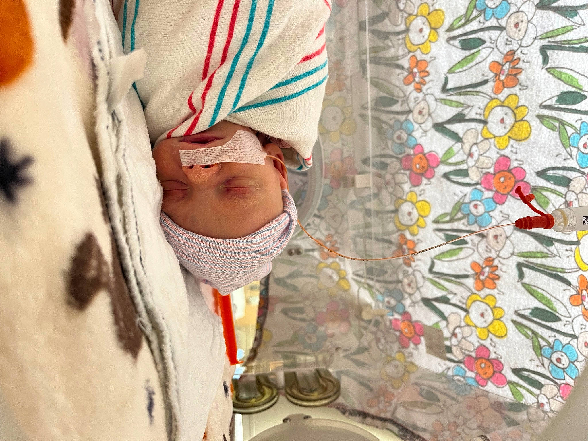 Annabelle is registered to the contest to win money with this photo: art, cap, child, craft, design, fashion_accessory, fun, knit_cap, landscape, linens, pattern, person, recreation, t_shirt, textile, tree, visual_arts, winter, wool, woolen