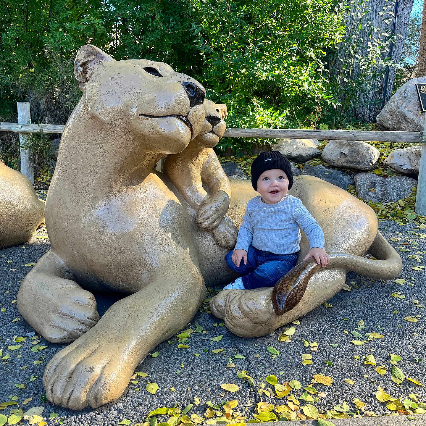 Malcolm joined the competition — help win amazing prizes! animal, baby, bear, clothing, face, grass, head, jungle, nature, outdoors, pants, park, person, photography, plant, portrait, rock, tree, vegetation, zoo