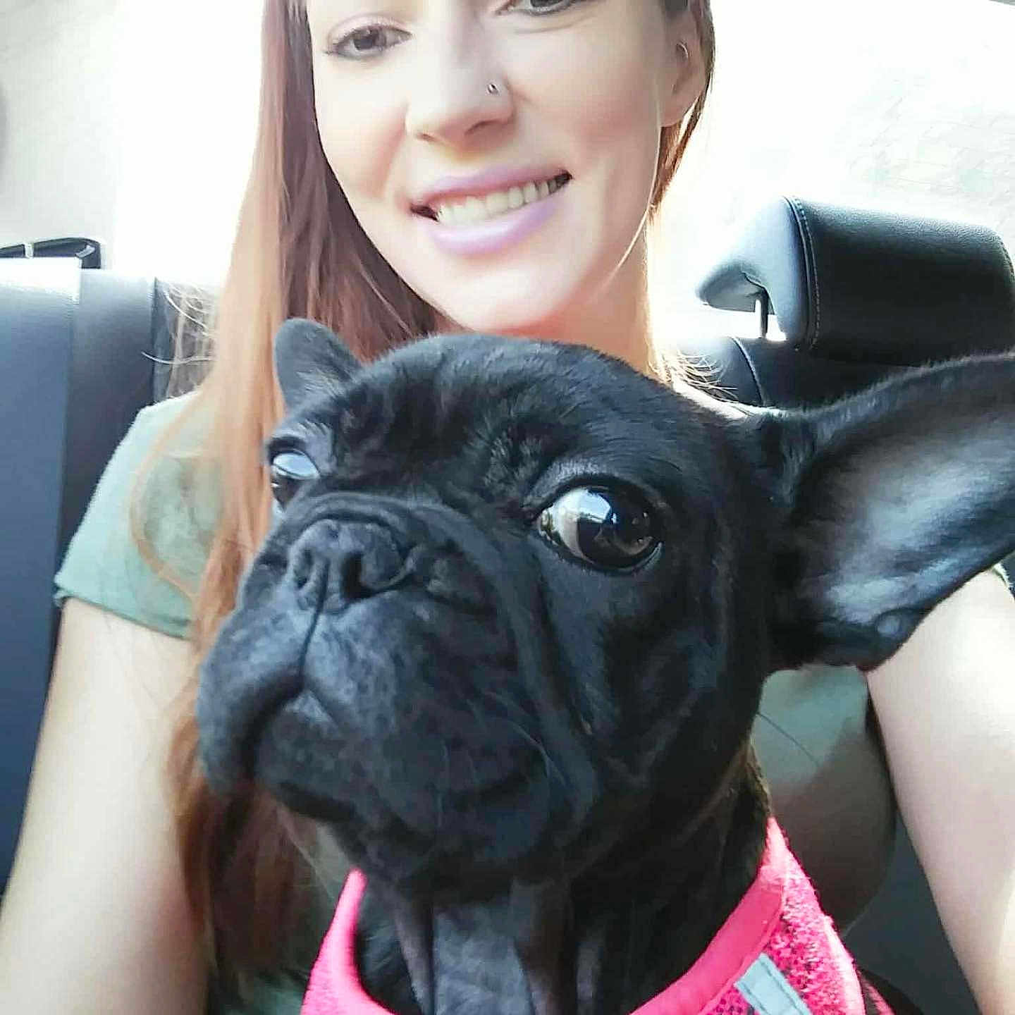 Zoey joined the competition — help win amazing prizes! animal, black_dog, car_interior, casual, closeup, companion, daylight, dog, french_bulldog, friendship, happy, harness, human, indoor, nose_piercing, pet, portrait, seat, smile, woman