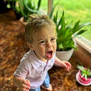 Lorenzo joined the competition — help win amazing prizes! child, toddler, crying, indoor, window, plant, greenery, blond_hair, white_shirt, blue_shorts, carpet, barefoot, emotion, portrait, young_child, expression, home, natural_light, person, upset