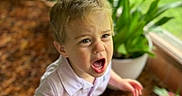 Lorenzo joined the competition — help win amazing prizes! child, toddler, crying, indoor, window, plant, greenery, blond_hair, white_shirt, blue_shorts, carpet, barefoot, emotion, portrait, young_child, expression, home, natural_light, person, upset
