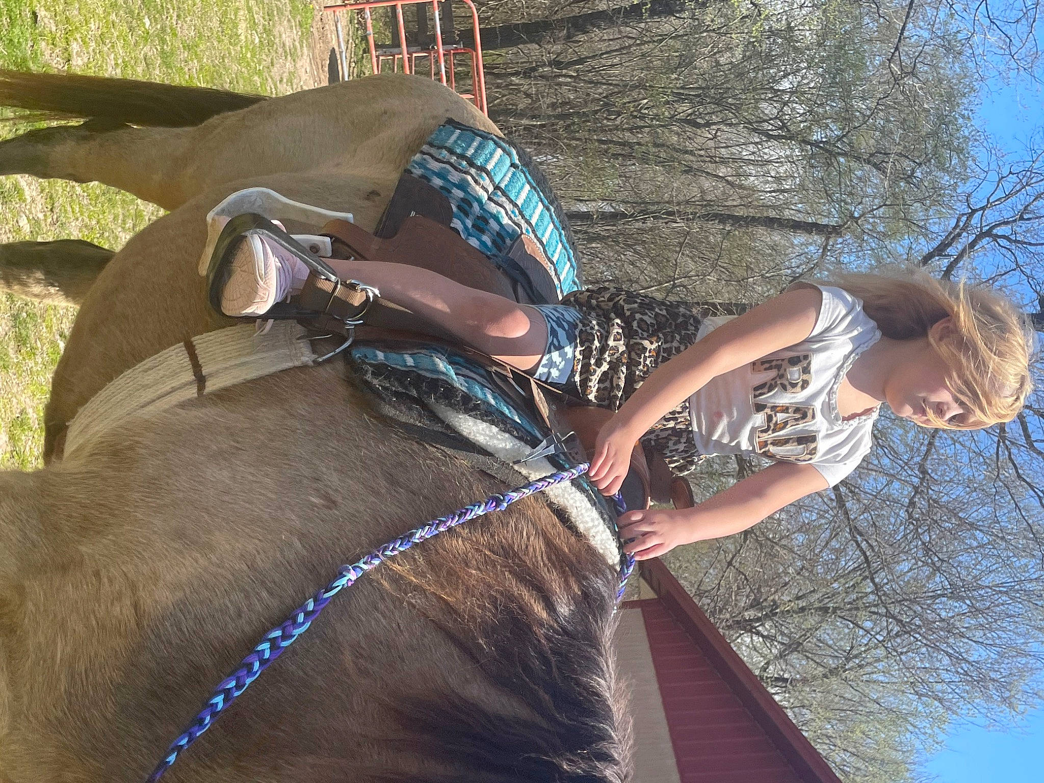 Autika is registered to the contest to win money with this photo: bridle, elbow, event, fun, hat, horse_supplies, horse_tack, human_body, leisure, liver, pack_animal, person, recreation, rein, saddle, sky, snout, sunglasses, tree, trunk