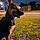 Roxy