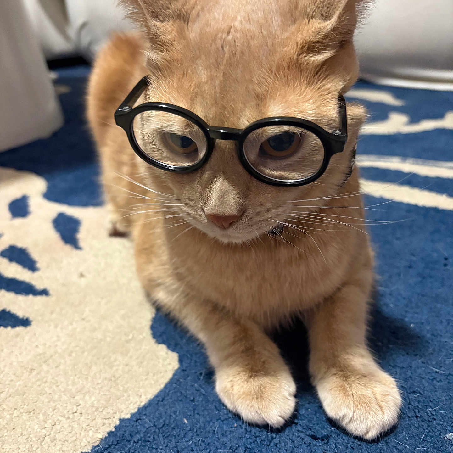 Tom