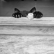 Simba a rejoint le concours — aidez-le/la à gagner de superbes lots ! animal, black_and_white, black_cat, cat, claws, closeup, curious, ears, feline, floor, hidden, indoor, mischievous, paws, peeking, pet, playful, quiet, texture, wooden_surface