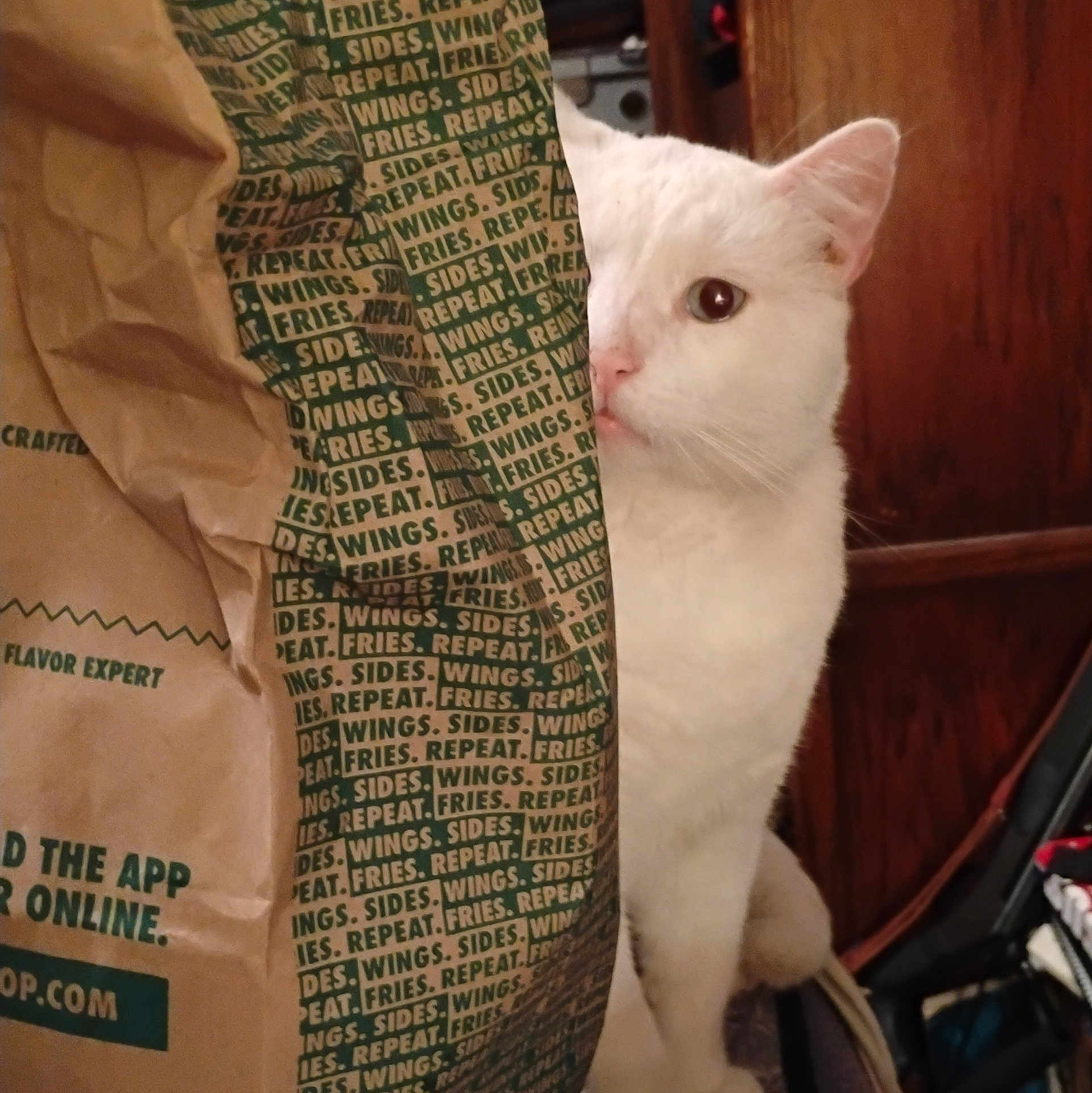 Smudge joined the competition — help win amazing prizes! cat, white_cat, paper_bag, text, indoor, curious, peeking, feline, pet, animal, closeup, brown, wood, clutter, background, domestic, whiskers, ears, eye, face
