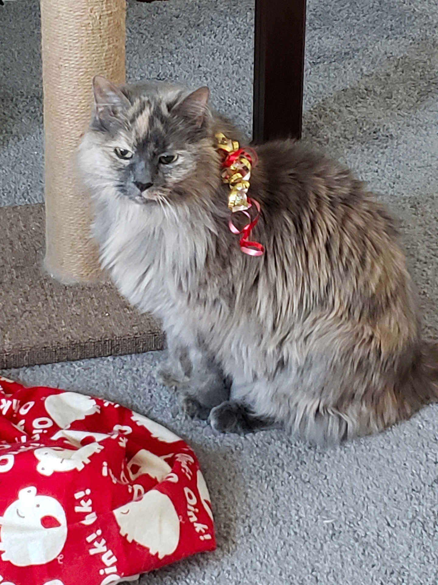 Gracie