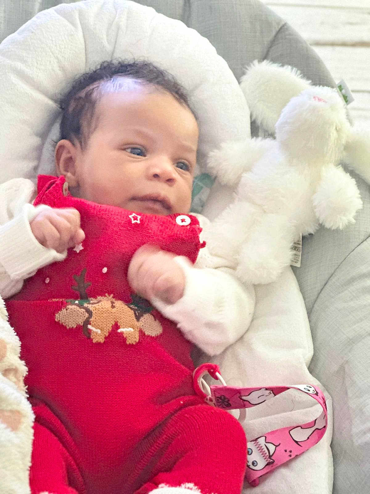 Lily a rejoint le concours — aidez-le/la à gagner de superbes lots ! baby, infant, newborn, red_outfit, knitted_clothing, reindeer_pattern, stuffed_bunny, plush_toy, pacifier_clip, blanket, baby_seat, portrait, close_up, face, eyes, hands, cozy, soft_texture, peaceful, home_interior