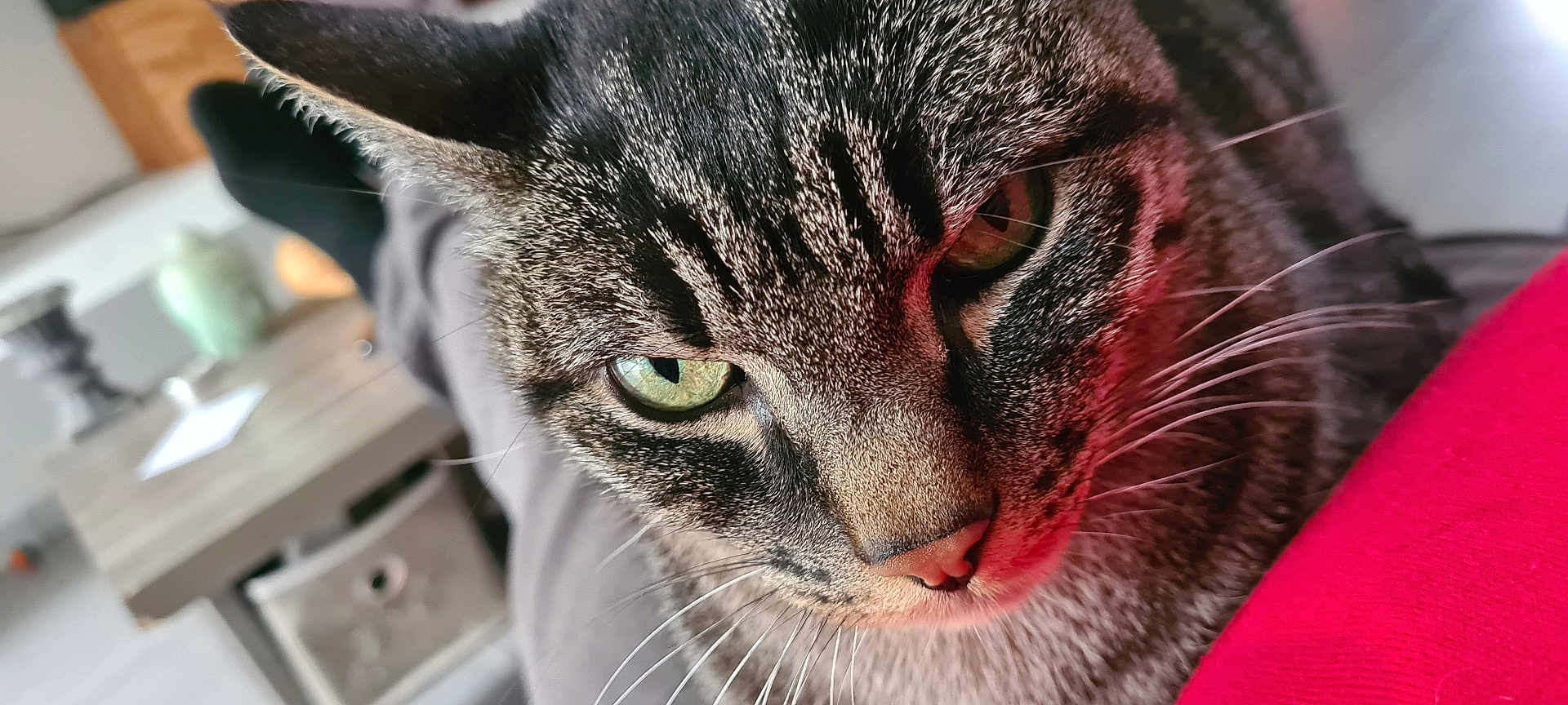 Tom